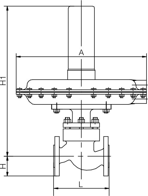 Self operated micro (differential) pressure regulating valve(圖1)