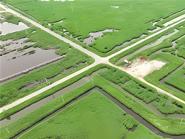 Build green and low-carbon oil fields to be the "pillar" of green development(圖（tú）1)